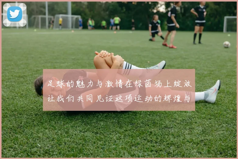 足球的魅力与激情在绿茵场上绽放让我们共同见证这项运动的辉煌与传奇