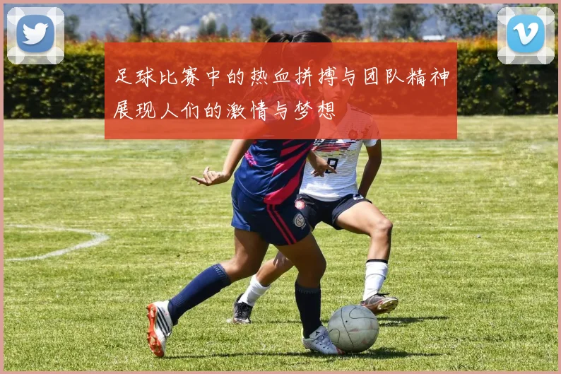 足球比赛中的热血拼搏与团队精神展现人们的激情与梦想