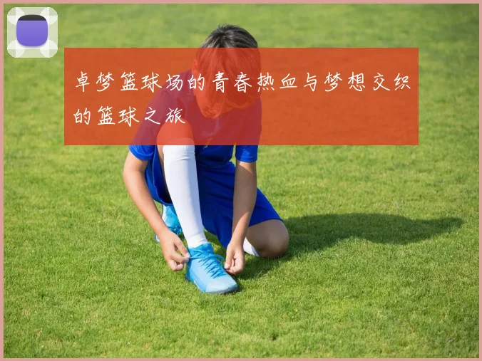 卓梦篮球场的青春热血与梦想交织的篮球之旅