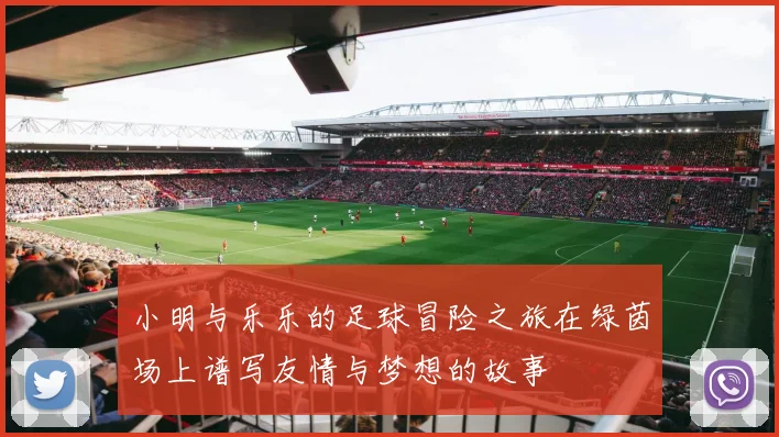 小明与乐乐的足球冒险之旅在绿茵场上谱写友情与梦想的故事