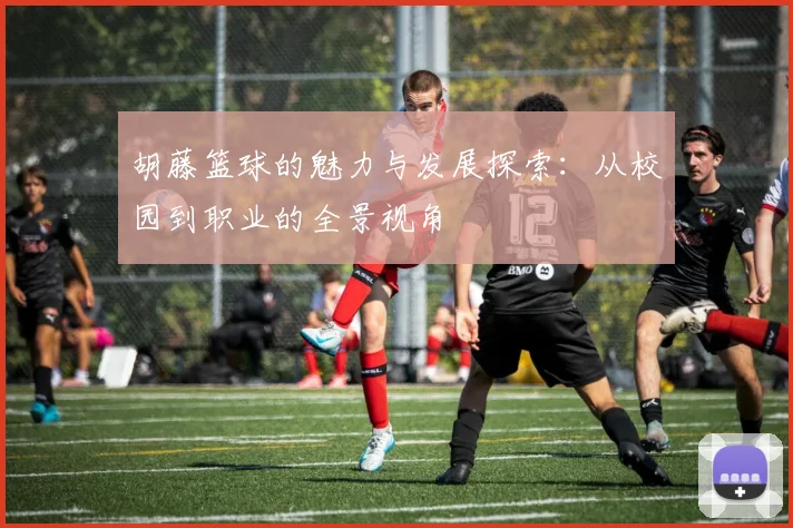 胡藤篮球的魅力与发展探索：从校园到职业的全景视角